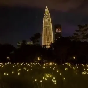 1/2pcs Solar Garden Lights Outdoor Firefly Starburst Swaying Lights Warm White Color Changing RGB Light for Yard Patio Pathway Decoration Swaying When Wind Blows