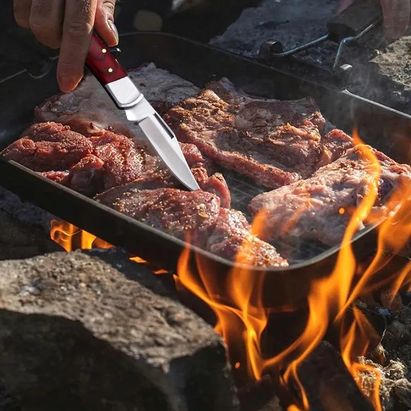 Outdoor Stainless Steel Pocket Knife