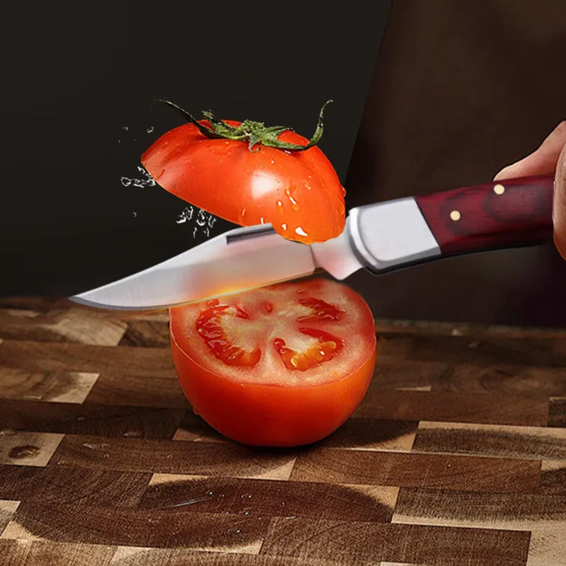 Outdoor Stainless Steel Pocket Knife