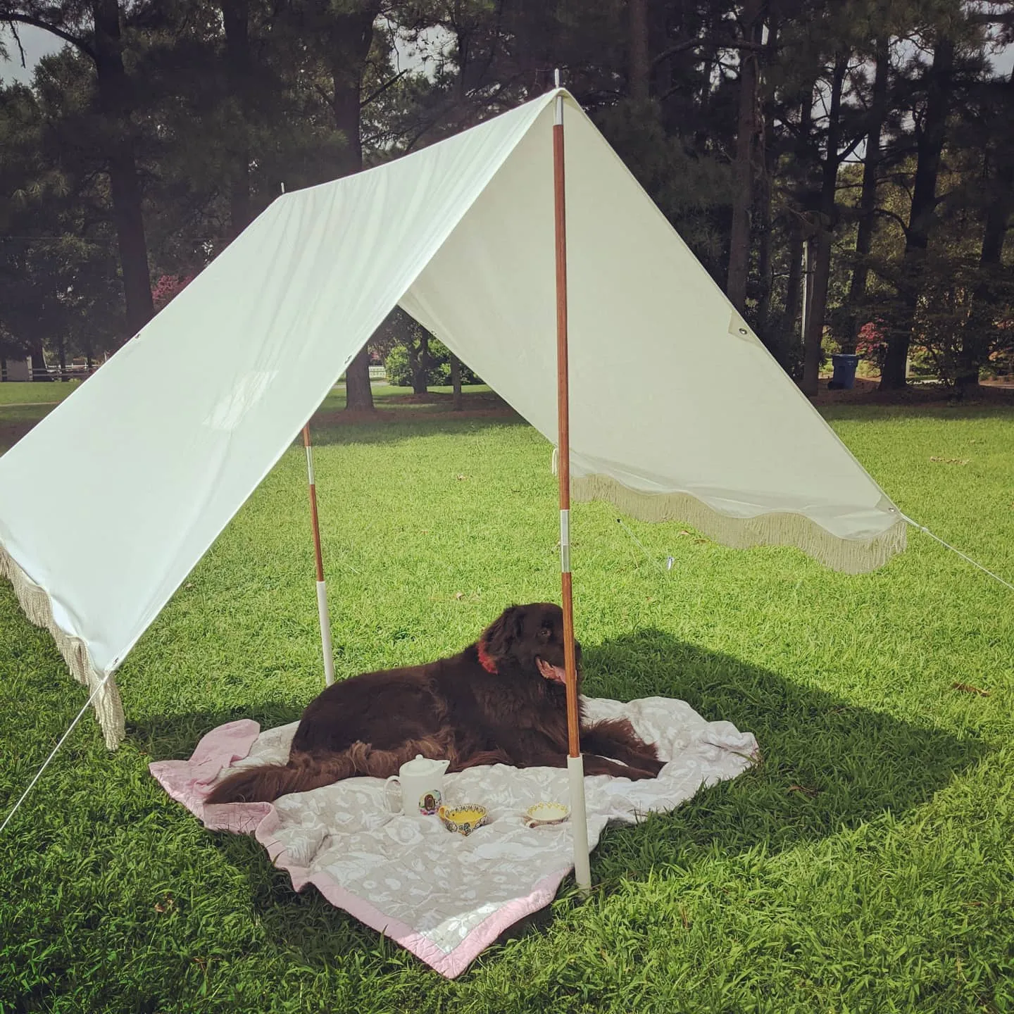 The Premium Beach Tent - Antique White